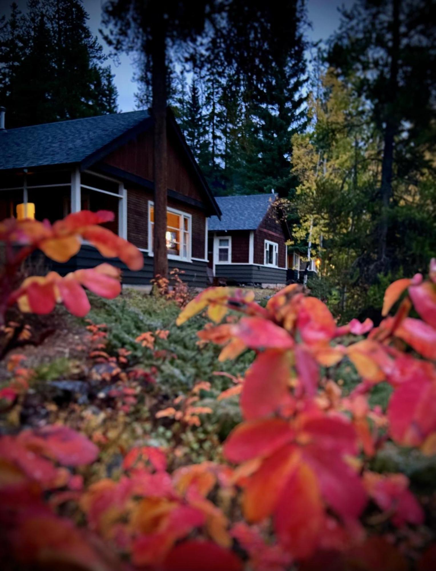 Johnston Canyon Lodge & Bungalows Касл-Джанкшн Екстер'єр фото